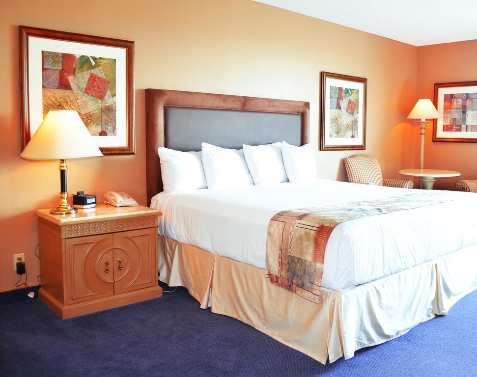 Standard King Room,1219441954:JPEG